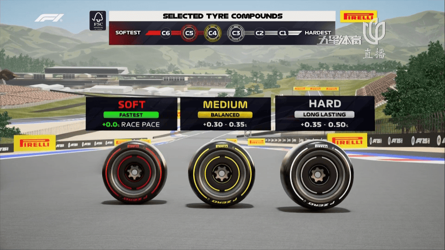 关于索伯车队险胜威廉姆斯，塞恩斯关键制胜的信息